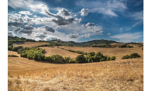 Заоравање жетвених остатака