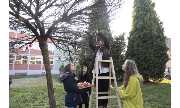 Помажемо птицама у хладним данима