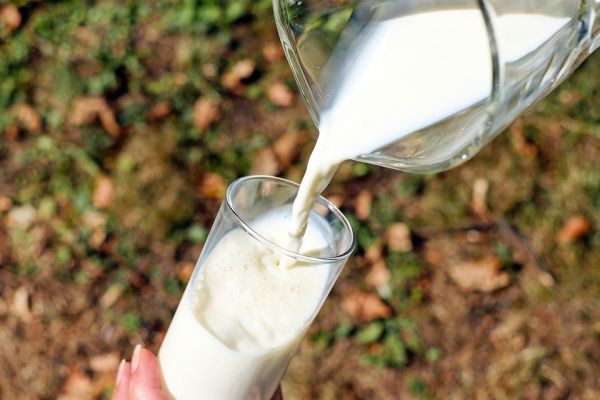 Proizvođači mleka tražiće od ministarke smanjenje uvoza i minimalnu cenu od 80 dinara za litar