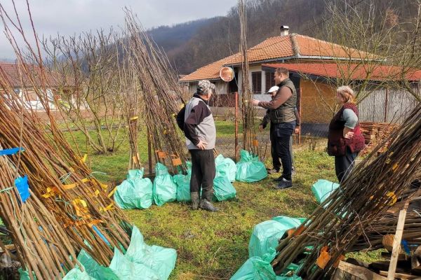 Podeljene sadnice korisnicima projekta "Bolji život za sve građane Ljubovije"