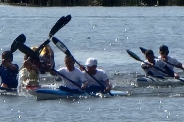 Sedam medalja za Šapčane