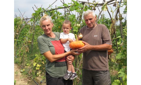 Priča o strpljenju, ljubavi  i plodovima zemlje