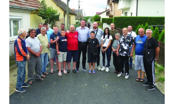 Asfaltirana ulica Vladana Đorđevića u naselju Kamičak