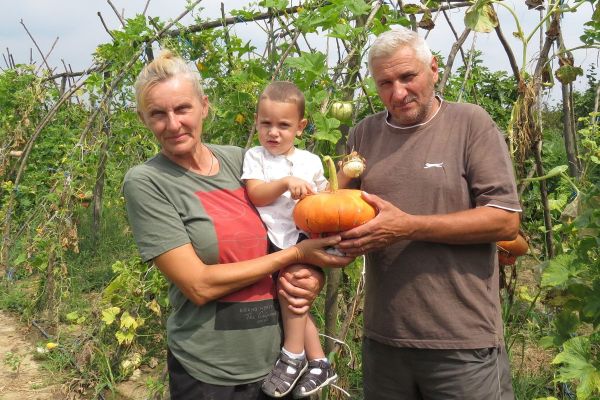 Priča o strpljenju, ljubavi  i plodovima zemlje