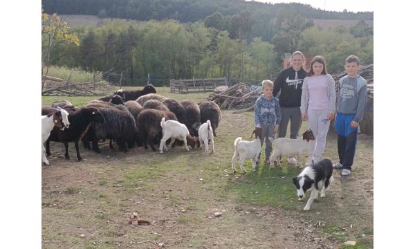 Очување угрожене и готово заборављене расе