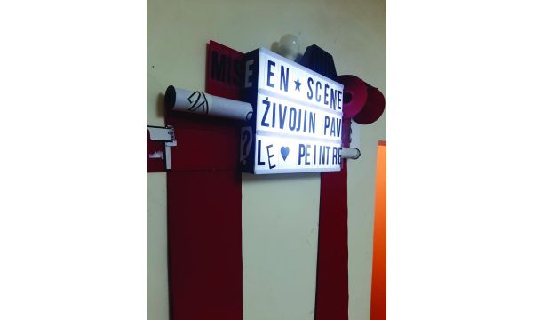 Svetlosna instalacija "Živojin P."