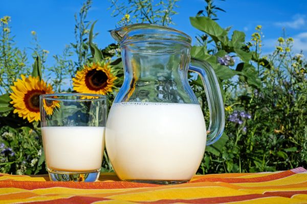 Raspisan javni poziv za premiju za mleko