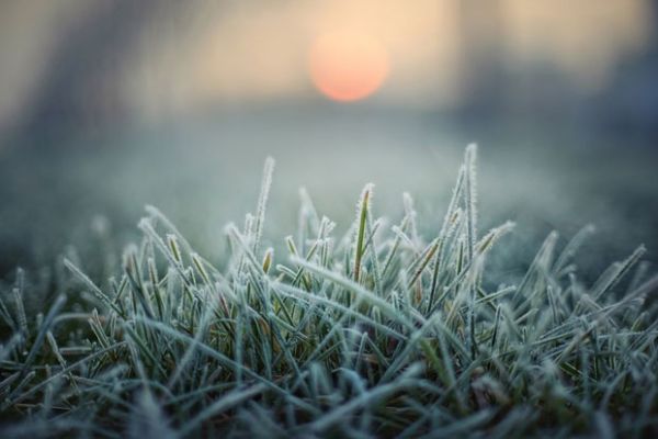 Ujutro mraz, dan sunčan, do 17 stepeni