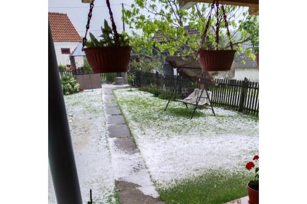 Grad naneo veliku štetu opštinama Topola i Šabac, najviše stradalo voće i žitarice