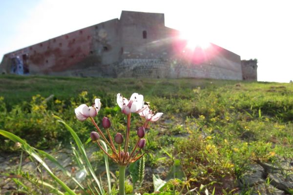 Promenljivo vreme, smena sunca i oblaka, retka kratkotrajna kiša