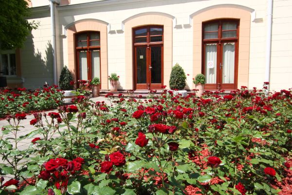 Временска прогноза за недељу, 11. маја: Претежно сунчано, понегде киша и грмљавина
