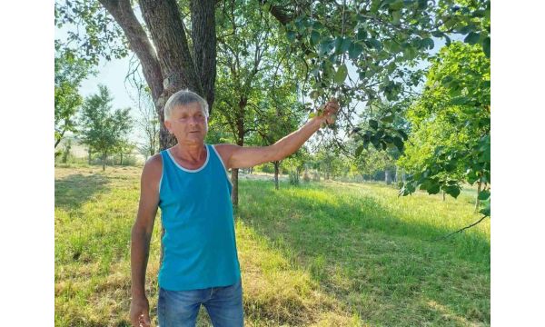Kad zamirišu takuša i kolačara