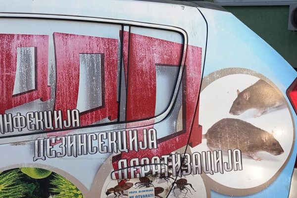 Чим се примети појава бубашваба, важно је одмах реаговати