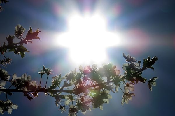 Zdravlje pod vrelim suncem