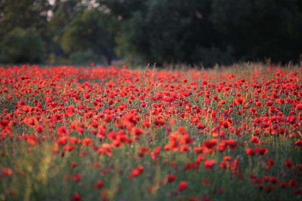 Топло, до 32 степена