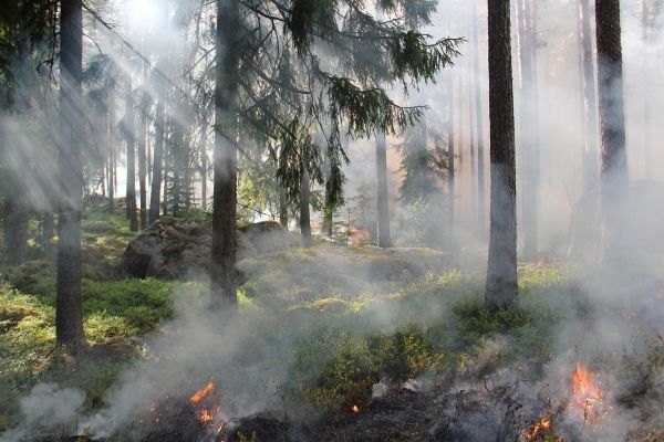 Опрез приликом упутребе пламена на отвореном простору