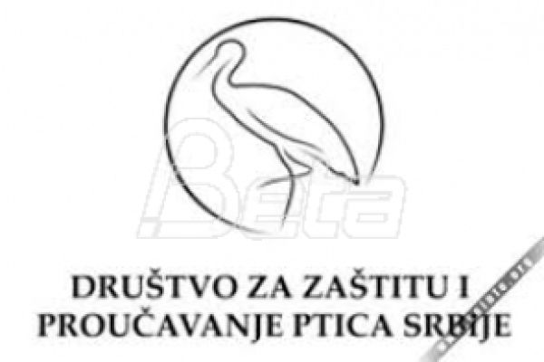 U Srbiji sve više orlova krstaša