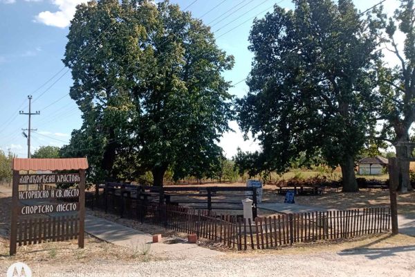 Na Ilindan kod hrastova u Trbušcu