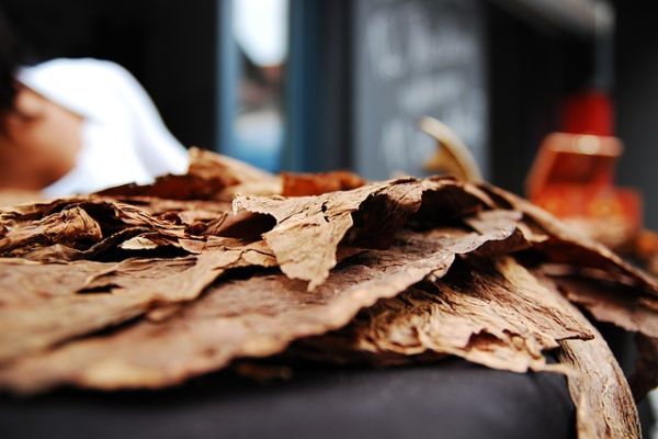 МУП: Шапчани ухапшени у Ћуприји због поседовања дувана