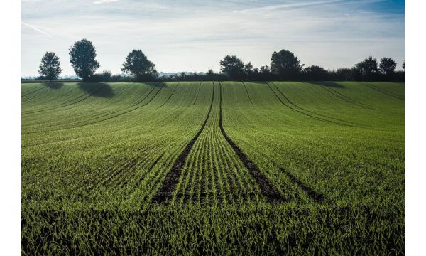 Kako smo neodgovorno doveli obnovljivi resurs zemljišta u veliki problem