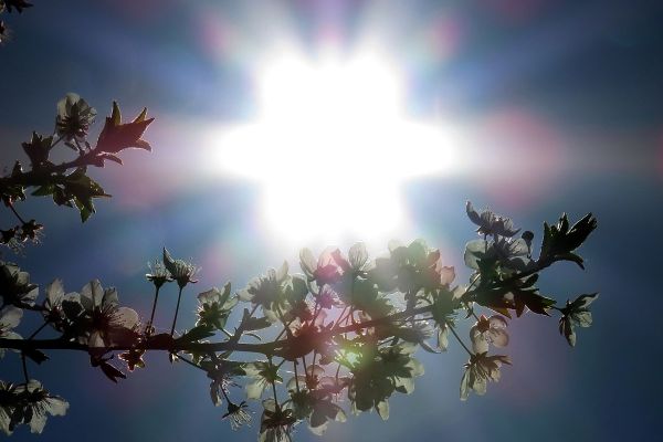 Сунчано и топло, изнад 30 степени