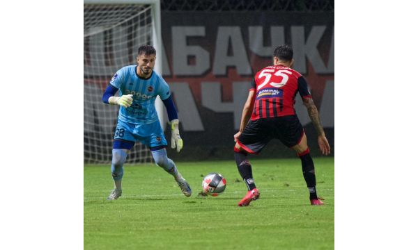 Лозница као поправни