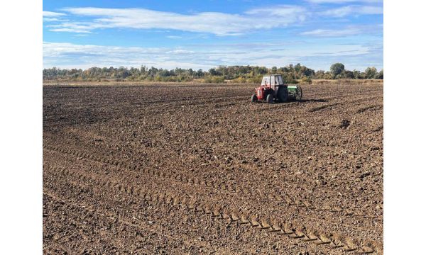 Pod ozimim usevima posejano više površina