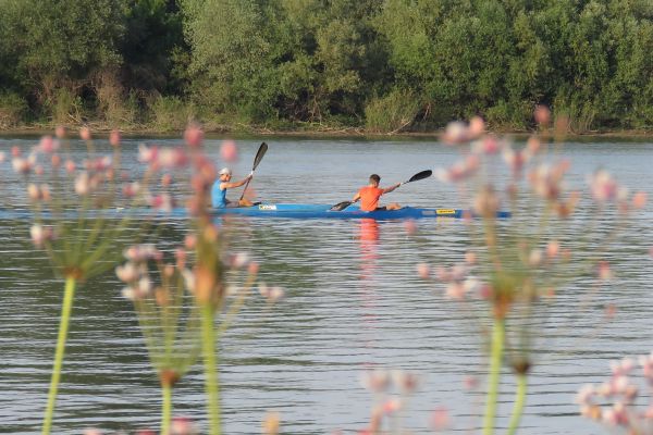 Sava u stagnaciji sa tendencijom manjeg porasta