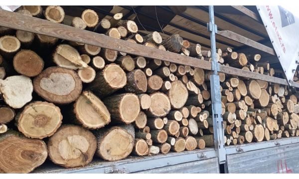 Drva ima nije zima, a ima i peleta