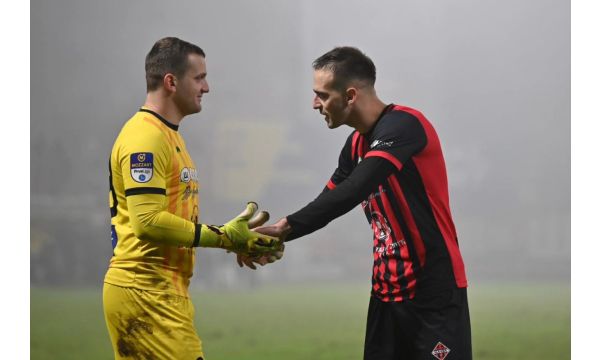 Мачвини снови трају