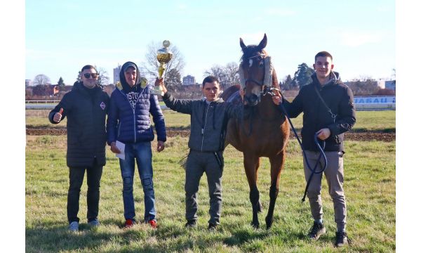 Rondina pobednik Novogodišnje trke