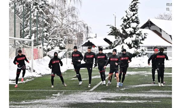 Шест провера форме