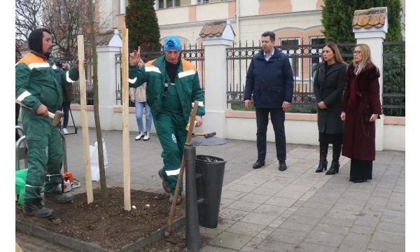 Град Шабац обезбедио 445 садница за допуну дрвореда