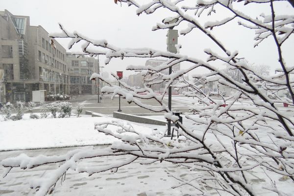 Екипе Електродистрибуције на терену