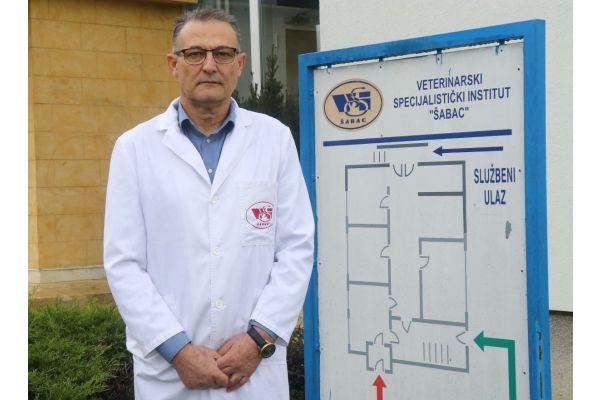 Afrička kuga ozbiljna pretnja svinjarstvu u Mačvi