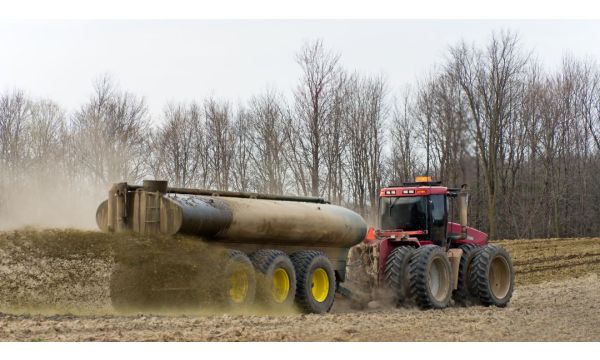 Tečni stajnjak i osoka