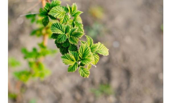 Važan trenutak za reagovanje