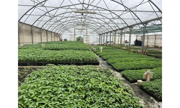 Kvalitet proveren, cene prošlogodišnje