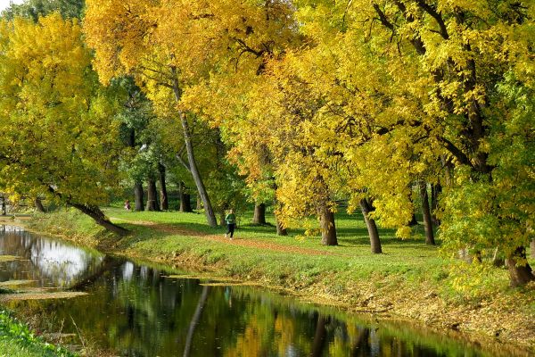 Bioprognoza: Promenljivo raspoloženje, glavobolja