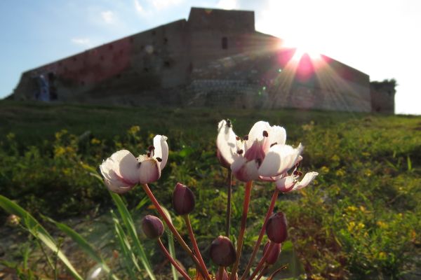 Sunčano i toplo, do 30 stepeni u Šapcu