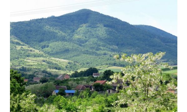 Стопирани пројекти на Церу