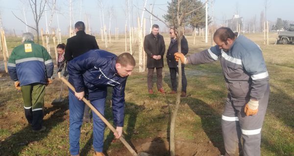 „Пасубио“ даривао 127 садница