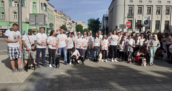 Prihvatilište srećnije mesto  za život napuštenih pasa