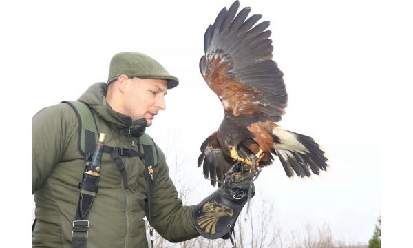 Исконска повезаност човека и птице